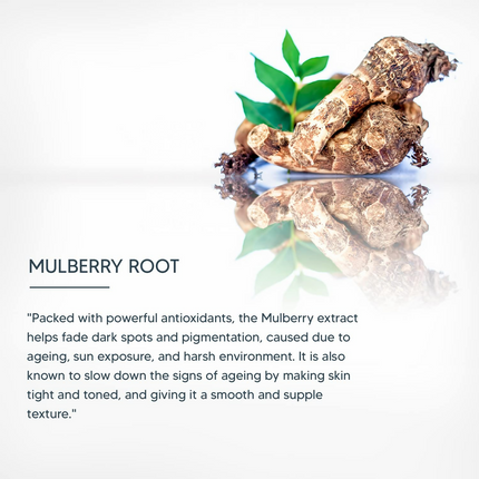 Lotus Professional Phyto Rx Whitening Uv Screen Mattege Sun Block Spf 60 Pa+++