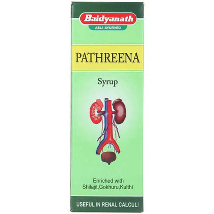 Baidyanath Jhansi Pathreena Syrup