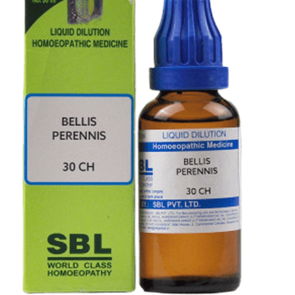 SBL Homeopathy Bellis Perennis Dilution