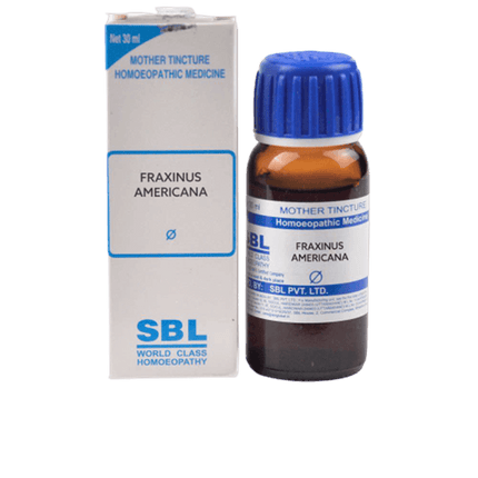 SBL Homeopathy Fraxinus Americana Mother Tincture Q