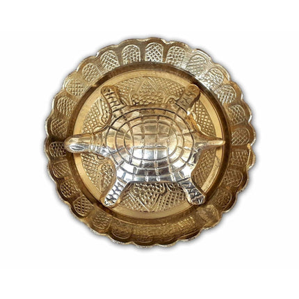 Tortoise with Small Brass Plate