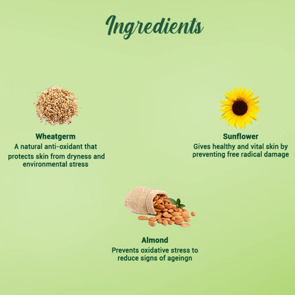 Biotique Advanced Ayurveda WheatGerm Anti-Ageing Night Cream