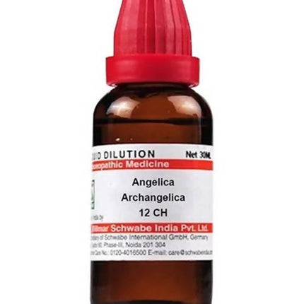 Dr. Willmar Schwabe India Angelica Archangelica Dilution