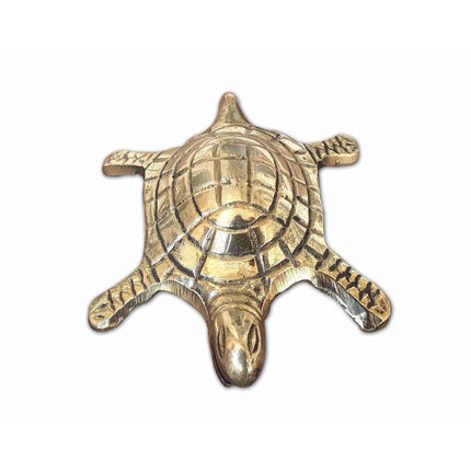 Tortoise with Small Brass Plate