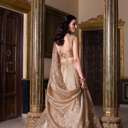 Lorenvalley Chiku Gold Crush Plain Lehenga Choli Embroidery Work with Dupatta