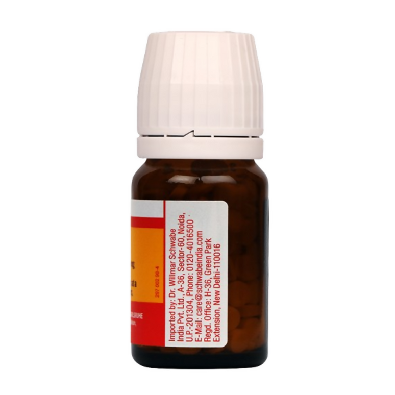 Dr. Willmar Schwabe India Germany Bio-Plasgen 20 Tablets