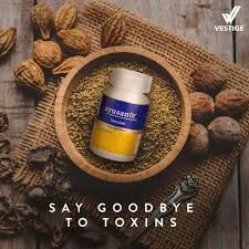 Vestige Ayusante Toxclean (60N)