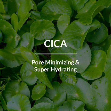 Lotus Botanicals CICA Pore Minimizing Face Toner