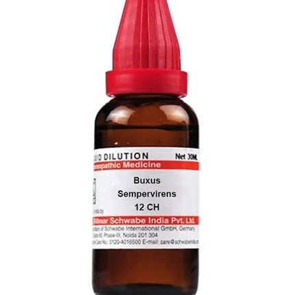 Dr. Willmar Schwabe India Buxus Sempervirens Dilution