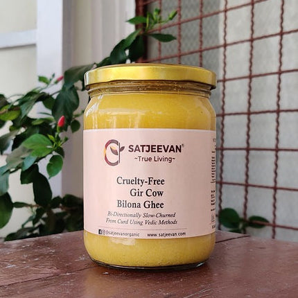 Satjeevan A2 Gir Cow Bilona Ghee | Pure A2 Gir Cow Bilona Ghee | 100% Gir Cow Ghee | Traditional Cow Ghee