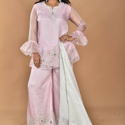 Morchari Women And Hand Embroidery Palazzo Set-Pink