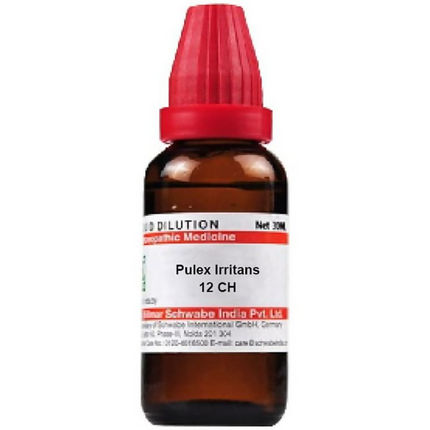 Dr. Willmar Schwabe India Pulex Irritans Dilution