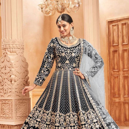 Pramukh Fab Black Color Net Gown