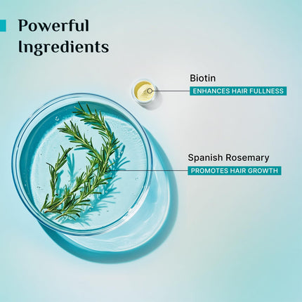 Pilgrim Spanish Rosemary Anti-Hairfall Shampoo (GTM)