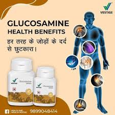 Vestige Glucosamine (100N)