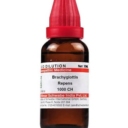 Dr. Willmar Schwabe India Brachyglottis Repens Dilution