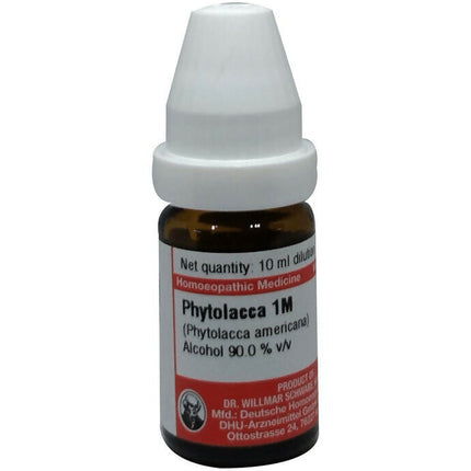 Dr. Willmar Schwabe Germany Phytolacca Dilution