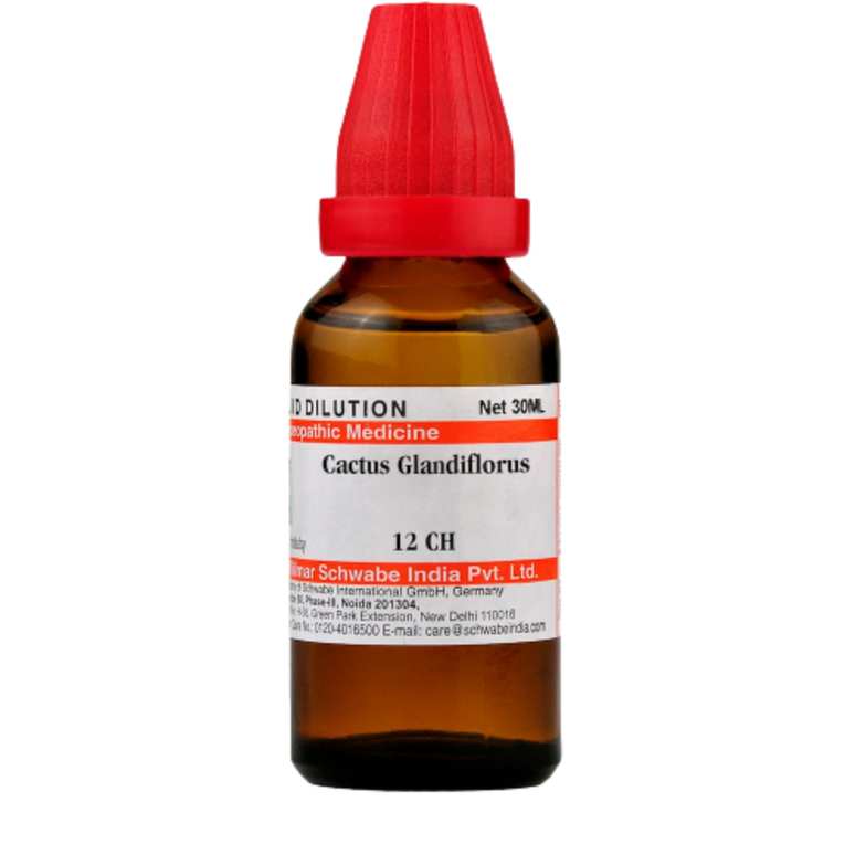 Dr. Willmar Schwabe India Cactus Glandiflorus Dilution