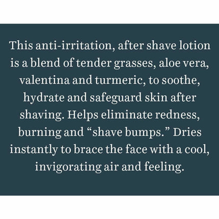 Biotique Bio Wild Grass A Soothing After Shave Gel For Men