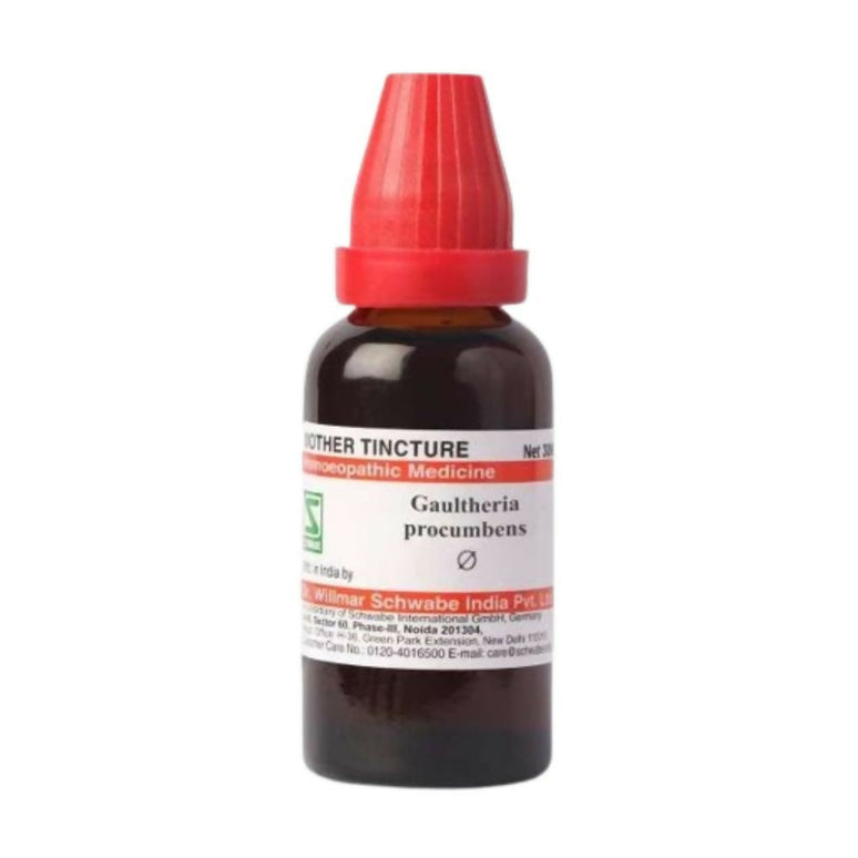 Dr. Willmar Schwabe India Gaultheria Procumbens Mother Tincture Q