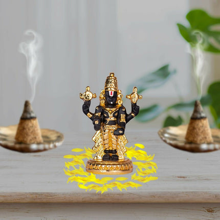 House Of Wemy Gold-Polished Premium Balaji Statue