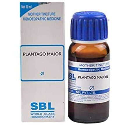 SBL Homeopathy Plantago Major Mother Tincture Q