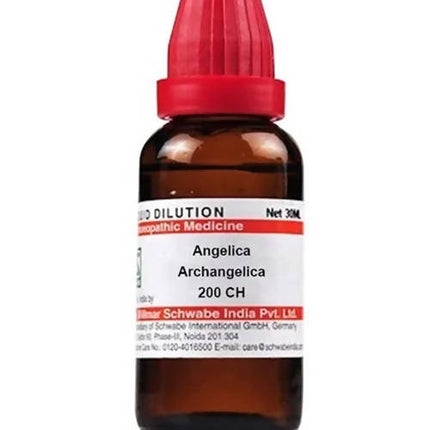 Dr. Willmar Schwabe India Angelica Archangelica Dilution
