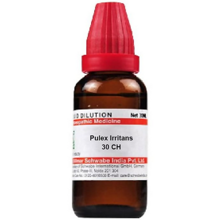 Dr. Willmar Schwabe India Pulex Irritans Dilution