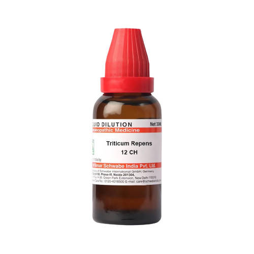 Dr. Willmar Schwabe India Triticum Repens Dilution