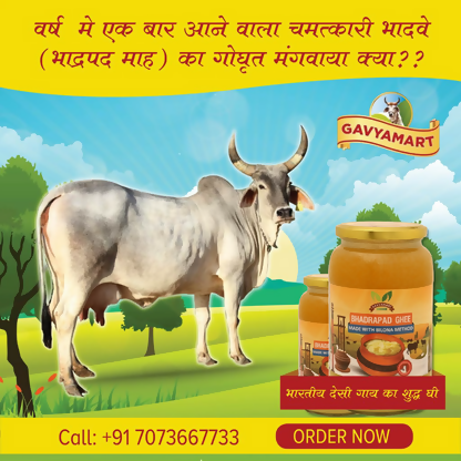 Gavyamart Bhadwa Ghee (Bhadrapad)