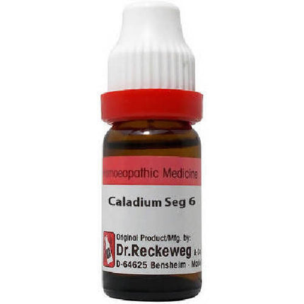 Dr. Reckeweg Caladium Seg Dilution