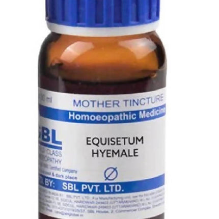 SBL Homeopathy Equisetum Hyemale Mother Tincture Q