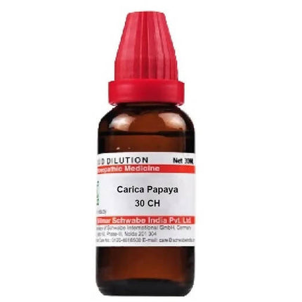 Dr. Willmar Schwabe India Carica Papaya Dilution