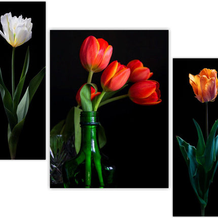 Tehzeeb Creations Set Of 3 Digital Wall Painting