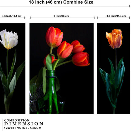 Tehzeeb Creations Set Of 3 Digital Wall Painting