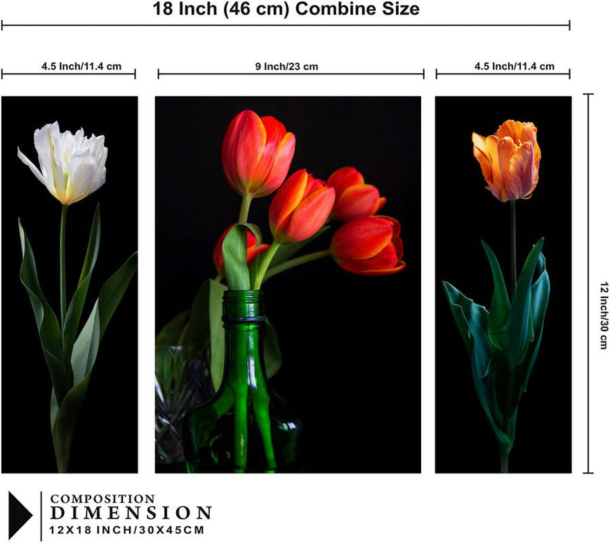 Tehzeeb Creations Set Of 3 Digital Wall Painting