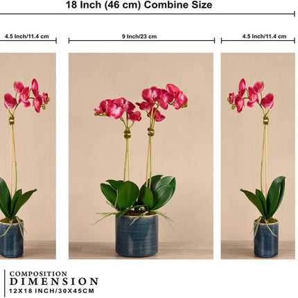 Tehzeeb Creations Set Of 3 Digital Wall Painting