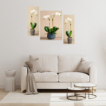 Tehzeeb Creations Set Of 3 Digital Wall Painting