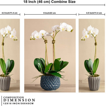 Tehzeeb Creations Set Of 3 Digital Wall Painting