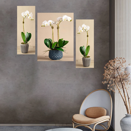 Tehzeeb Creations Set Of 3 Digital Wall Painting