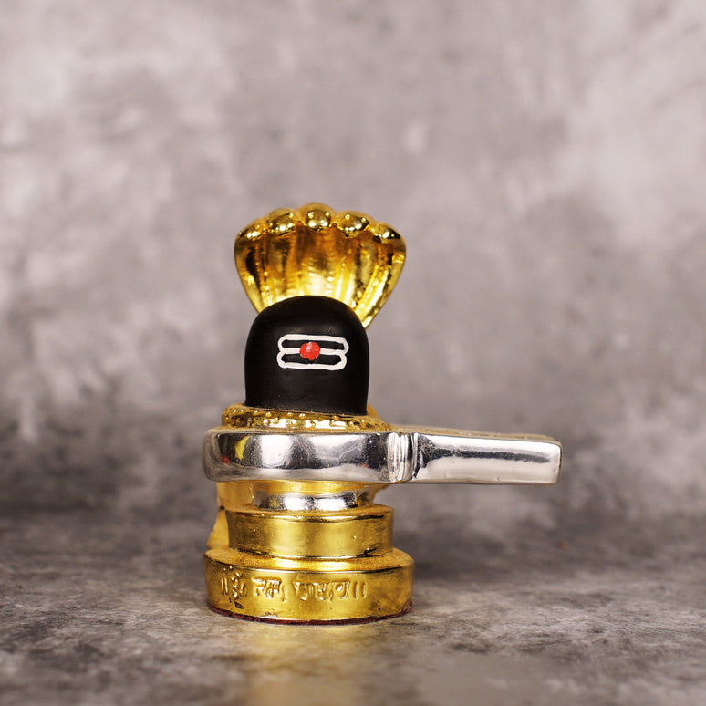 Sri Rudra Shiva Lingam (SR 00234)