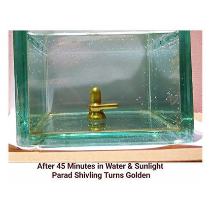 ‎G.S Rana Parad Shivling (50 Gram) Parad Shivling (29 mm)
