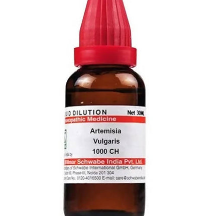 Dr. Willmar Schwabe India Artemisia Vulgaris Dilution