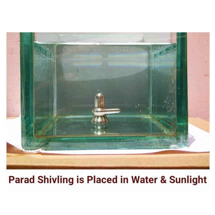 ‎G.S Rana Parad Shivling (50 Gram) Parad Shivling (29 mm)