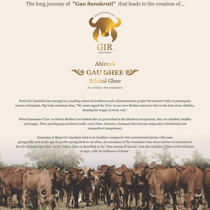Gir Ahinsak Gau Ghee (A2) Bilona - A2 Ghee, Traditional Bilona Ghee, Desi Pure Breed Gir Gaumata (A2)