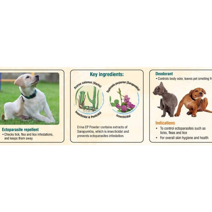 Himalaya Erina-Ep Powder