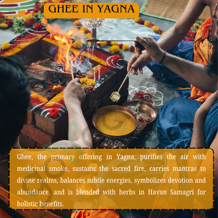 Tatsat Full Moon Day Ghee From Forest Gazing Amruth Mahal A2 Cows | Pure A2 Ghee, Natural & Healthy, Non-GMO