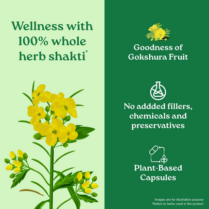 Organic India Gokshura Capsules