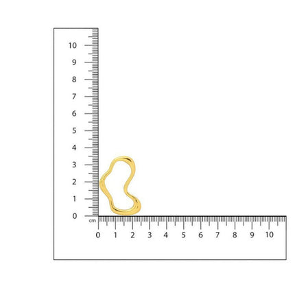 Golden Drop Earrings - Ruby Raang