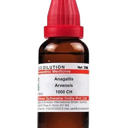 Dr. Willmar Schwabe India Anagallis Arvensis Dilution